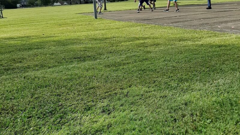 Gorcica Field - Eden, NY