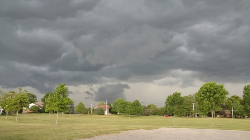 Gorcica Field - Eden, NY