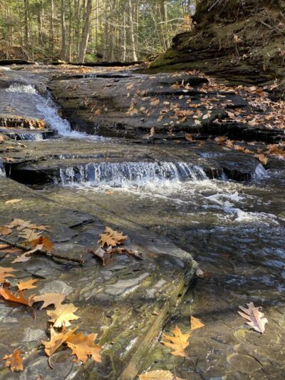 Larkin Woods/Franklin Gulf County Park Trailhead - Eden, NY