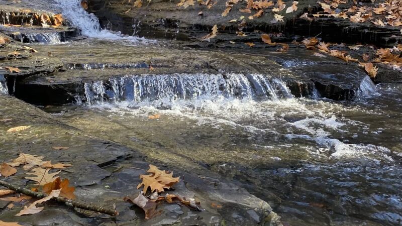 Larkin Woods/Franklin Gulf County Park Trailhead - Eden, NY