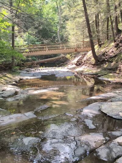 Larkin Woods/Franklin Gulf County Park Trailhead - Eden, NY