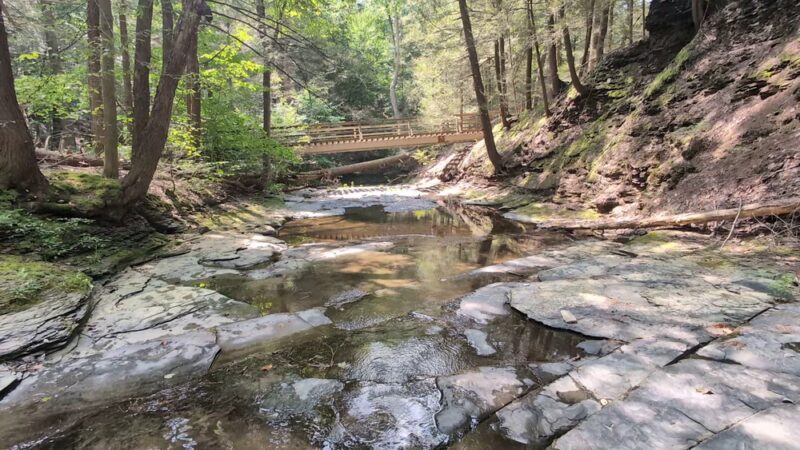 Larkin Woods/Franklin Gulf County Park Trailhead - Eden, NY