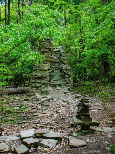 Larkin Woods/Franklin Gulf County Park Trailhead - Eden, NY