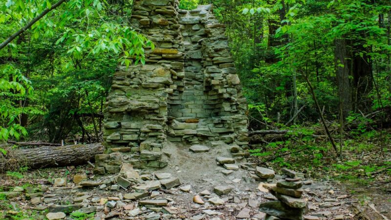 Larkin Woods/Franklin Gulf County Park Trailhead - Eden, NY