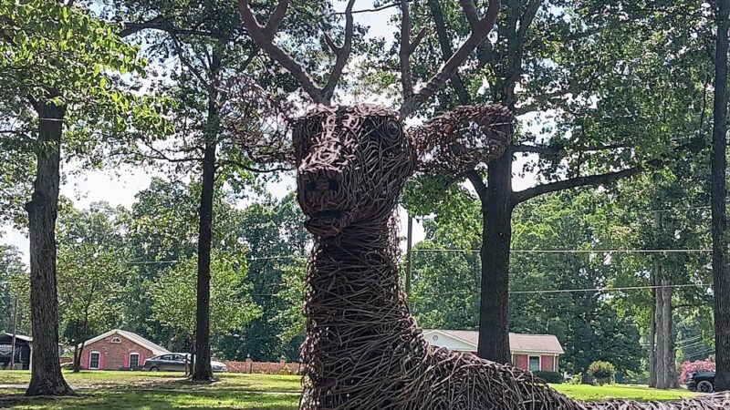 Grogan Park - Eden, NC