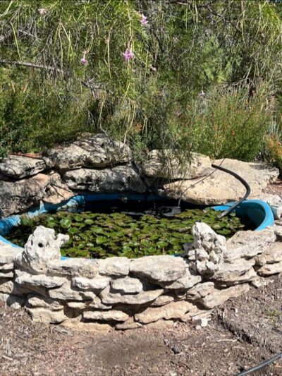 Garden of Eden Park - Eden, TX