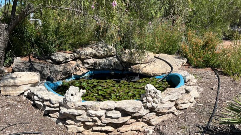Garden of Eden Park - Eden, TX