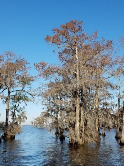 Cape Colony Park - Edenton, NC
