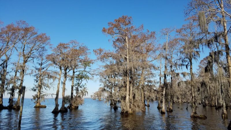 Cape Colony Park - Edenton, NC