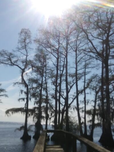 Cape Colony Park - Edenton, NC