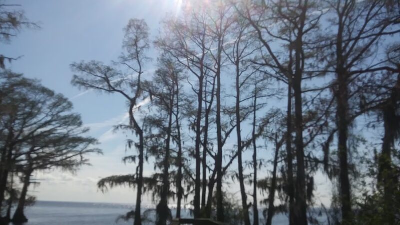 Cape Colony Park - Edenton, NC