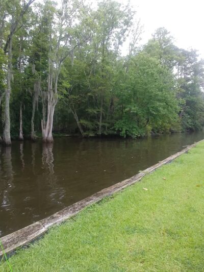 Cape Colony Park - Edenton, NC
