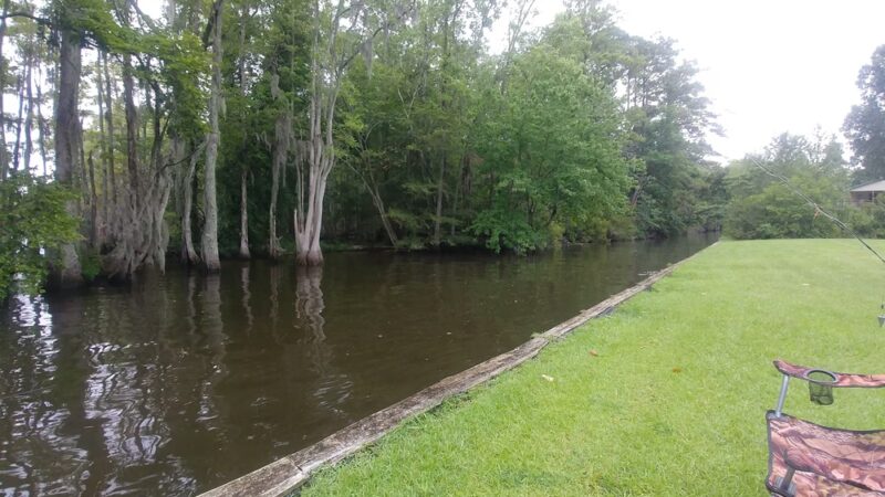 Cape Colony Park - Edenton, NC