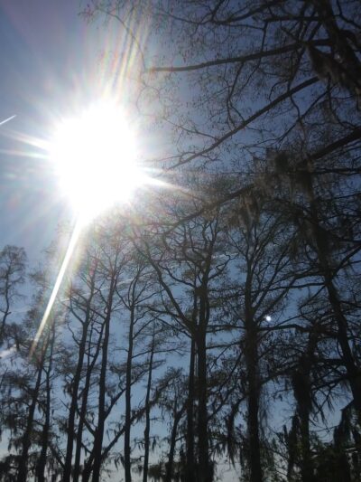 Cape Colony Park - Edenton, NC