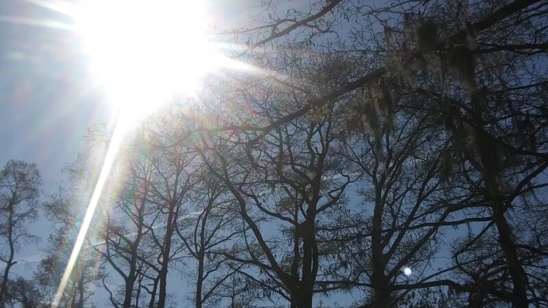 Cape Colony Park - Edenton, NC
