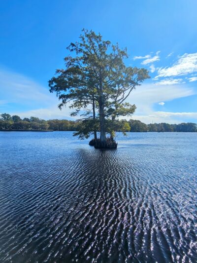 Colonial Waterfront Park - Edenton, NC