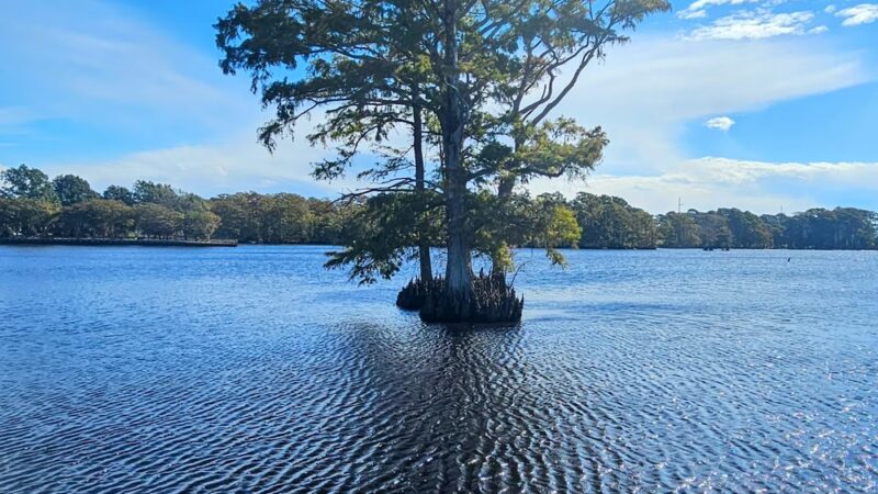 Colonial Waterfront Park - Edenton, NC