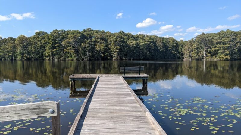 Pembroke Creek Park - Edenton, NC