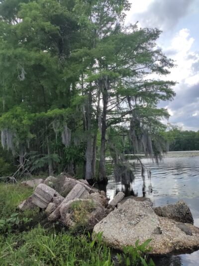 Pembroke Creek Park - Edenton, NC
