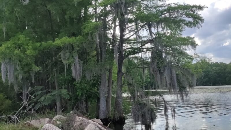 Pembroke Creek Park - Edenton, NC