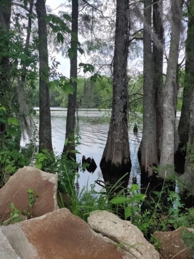 Pembroke Creek Park - Edenton, NC