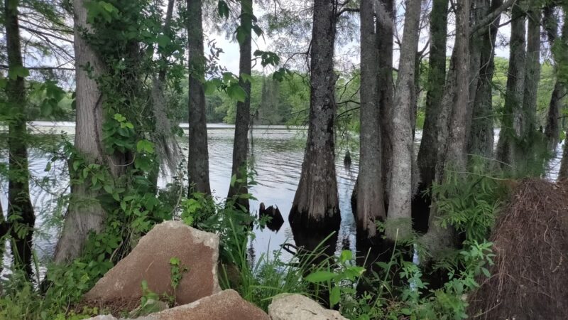 Pembroke Creek Park - Edenton, NC