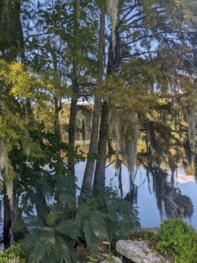 Pembroke Creek Park - Edenton, NC