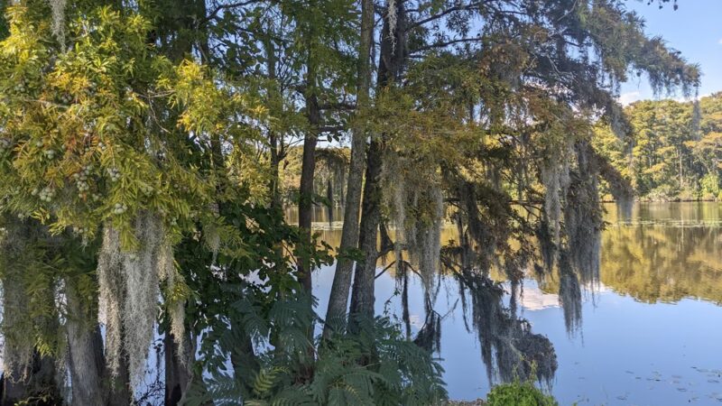 Pembroke Creek Park - Edenton, NC