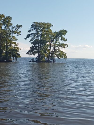 Queen Anne Park - Edenton, NC