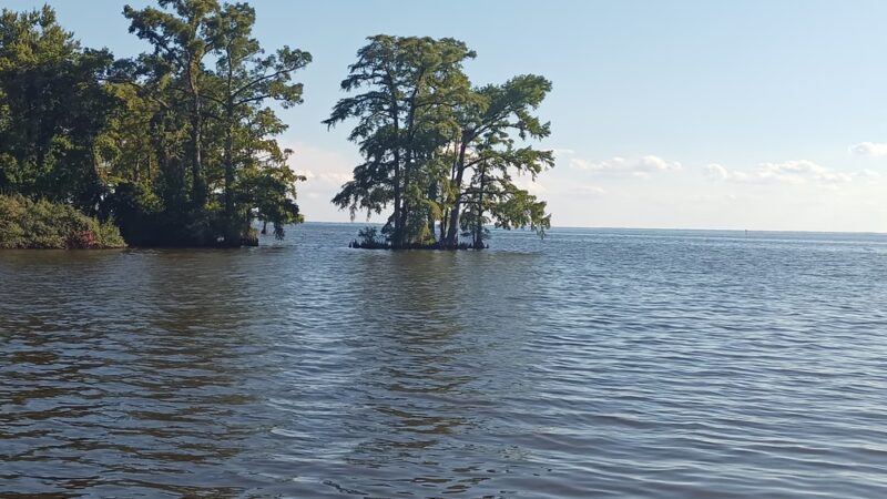 Queen Anne Park - Edenton, NC