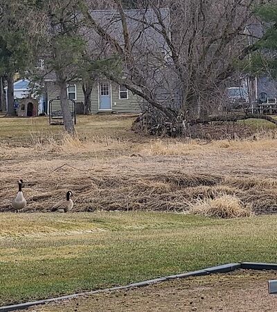 Scotch Creek Park - Edgar, WI