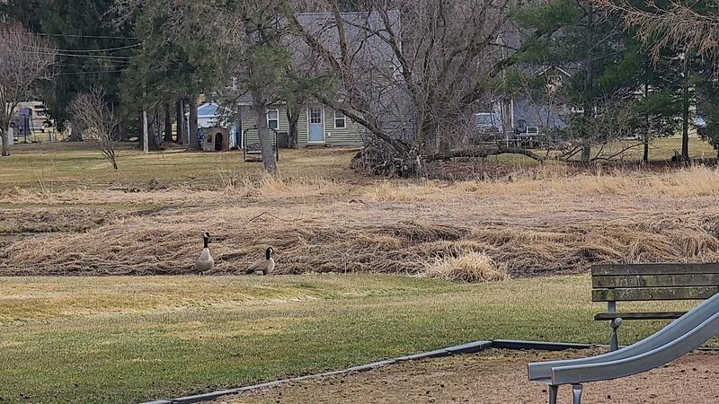 Scotch Creek Park - Edgar, WI