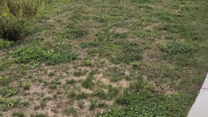 Sparrows Point Park - Edgemere, MD