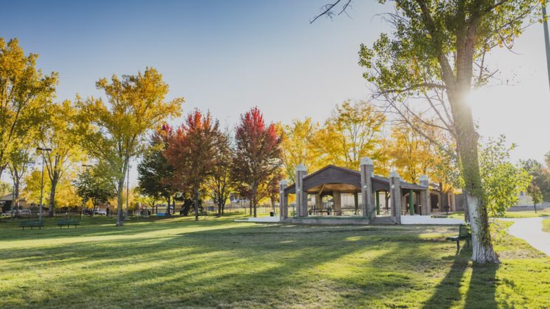 Citizen's Park - Edgewater, CO