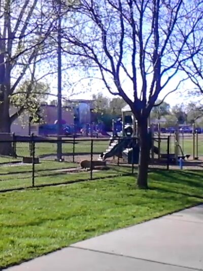 Citizens Park Pavillion - Edgewater, CO