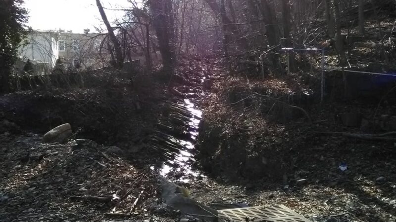 Duck Duck Park - Edgewater, NJ