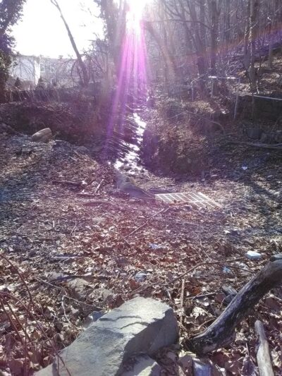 Duck Duck Park - Edgewater, NJ