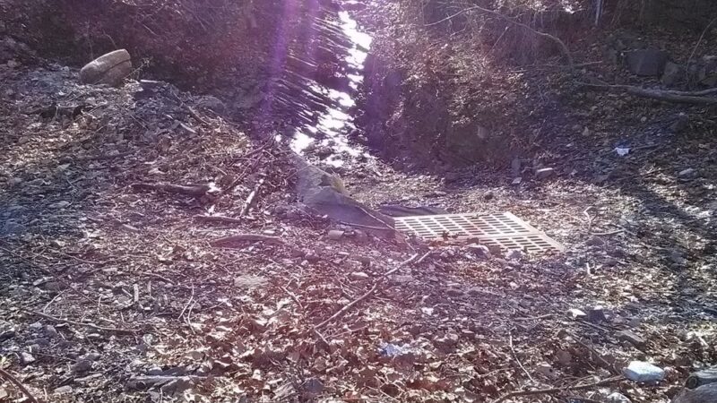 Duck Duck Park - Edgewater, NJ