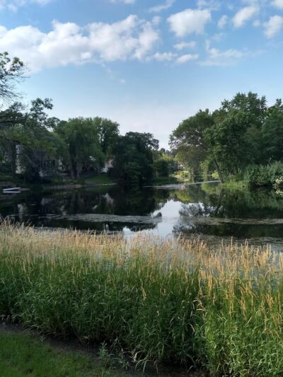 Edina Browndale Park - Edina, MN