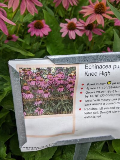 Edina Promenade (Walking, Biking) - Edina, MN