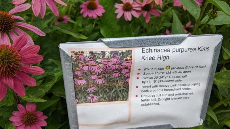 Edina Promenade (Walking, Biking) - Edina, MN