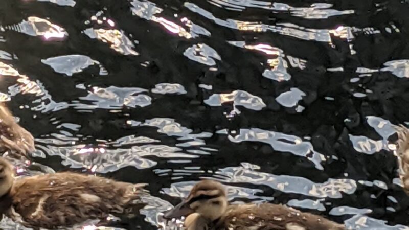 Edina Promenade (Walking, Biking) - Edina, MN