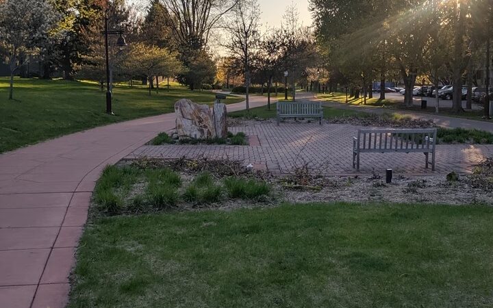 Edina Promenade (Walking, Biking) - Edina, MN