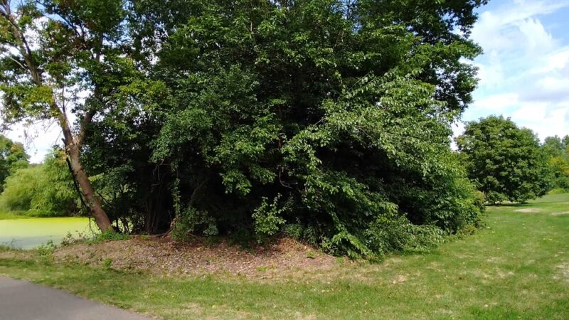 Fred Richards Park - Edina, MN