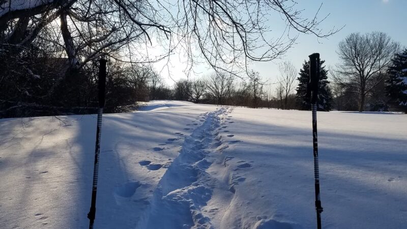 Fred Richards Park - Edina, MN
