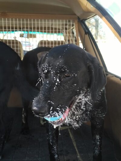 Robert J. Kojetin Park - Edina, MN