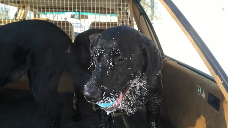 Robert J. Kojetin Park - Edina, MN