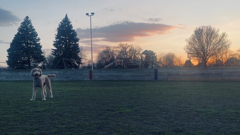 Strachauer Park - Edina, MN