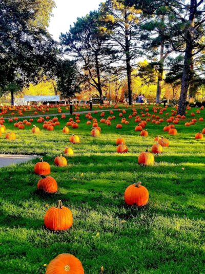 Utley Park - Edina, MN