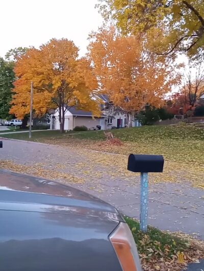 Yancey Park - Edina, MN